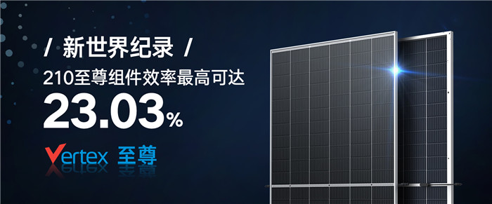 210组件效率高达23.03%! 德赢vwin刷新天下纪录 | 德赢vwin