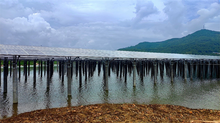 World Wetlands Day | Trinasolar unleashes solar power to safeguard human well-being | Trina Solar