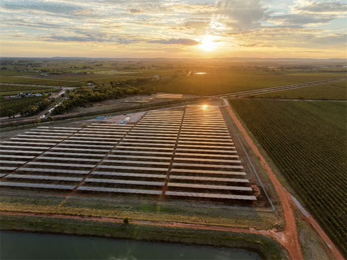 Trinasolar Powers Casella Family Brands’ Landmark Solar Farm, the Largest in Australia’s Beverage and Wine Industries | Trina Solar